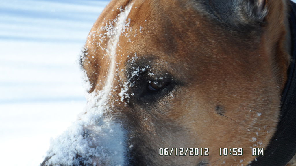 Марина Семыкина