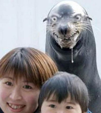 Ник Антонов