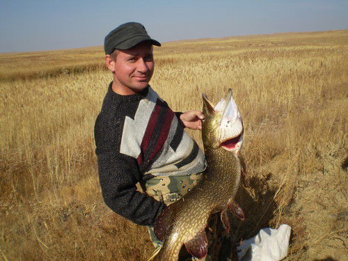 Дмитрий Глушич