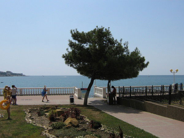 Марина Андреева