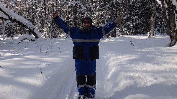 Арчи Любопытный