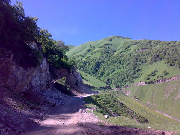 Ислам Идрисов