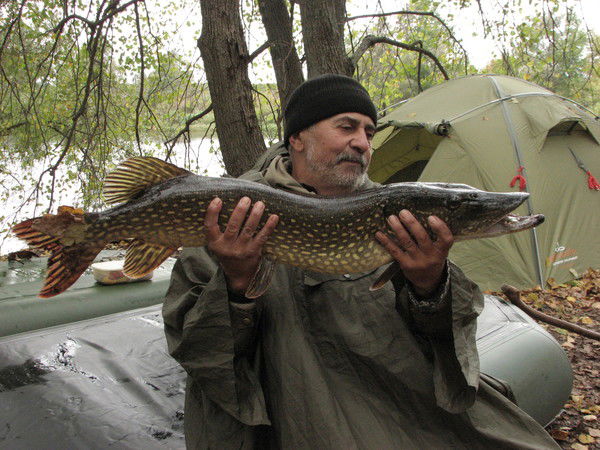 Владимир Брызгунов
