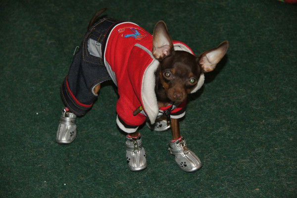 Надежда Чумак