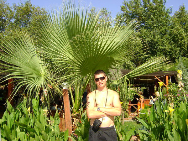 Ярослав Билозоров