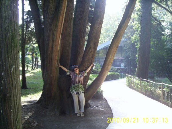 Наташа Ростова