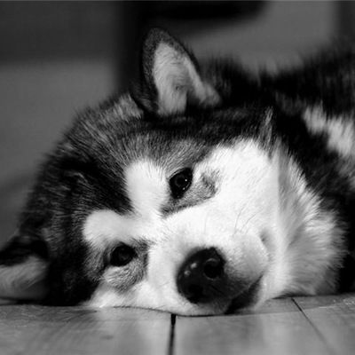 Максим Федоров