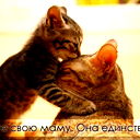 Алина Гончар