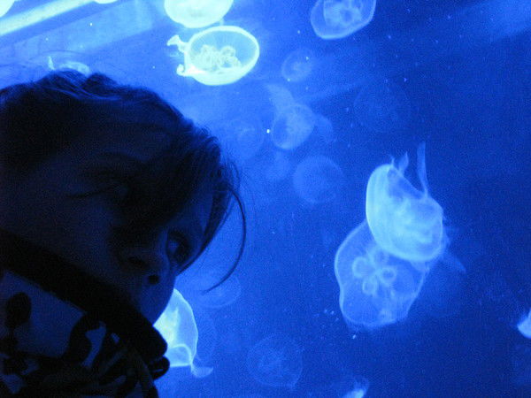 @@@@сонечка@@@@ :))))))))