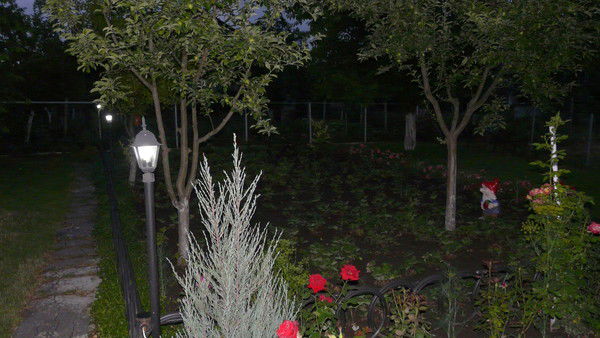 Елена Азизова