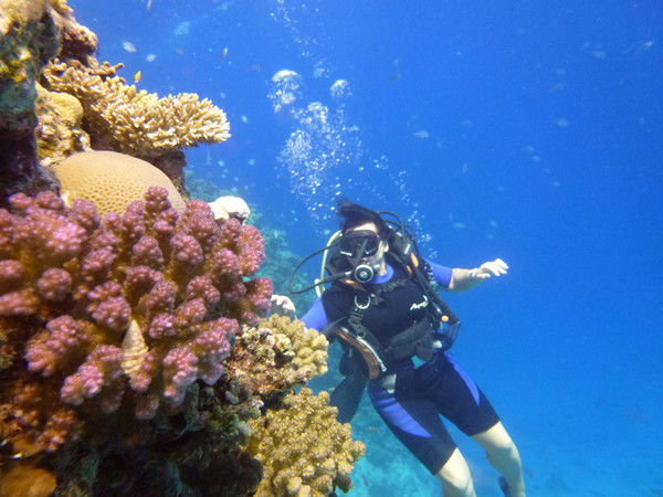 Алла Санцевич