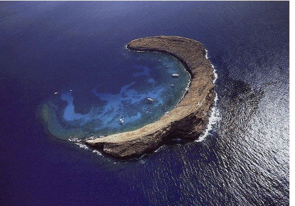 Николай Потапов