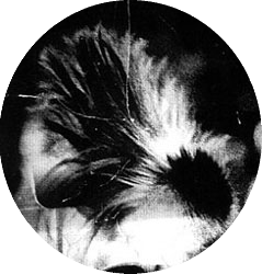 Макса Лебедев