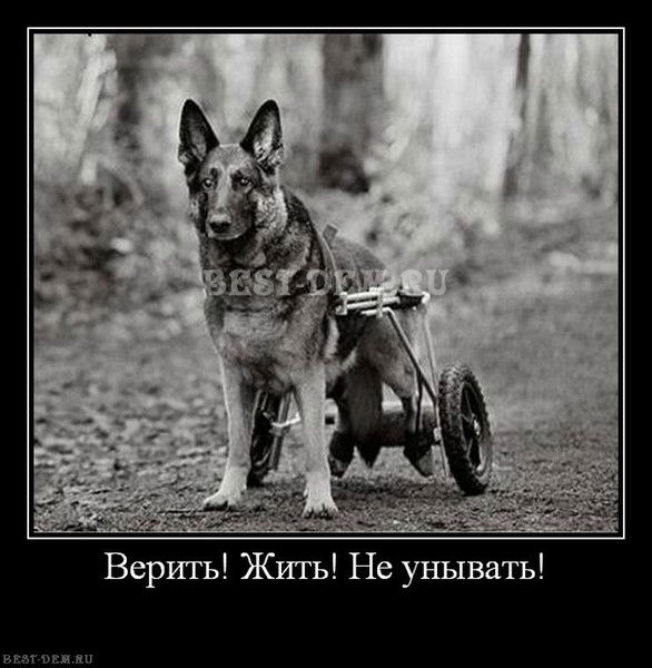 Виктория Антонова