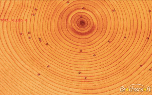 Александр Роскосенко