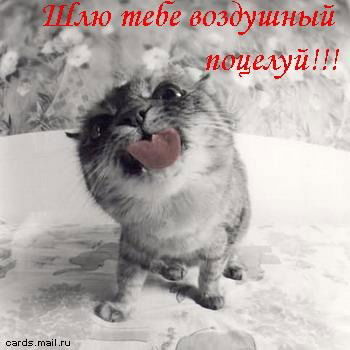 Нурлан Жубанышев