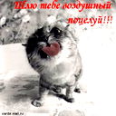 Нурлан Жубанышев