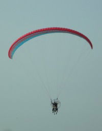 Валентина Синицына