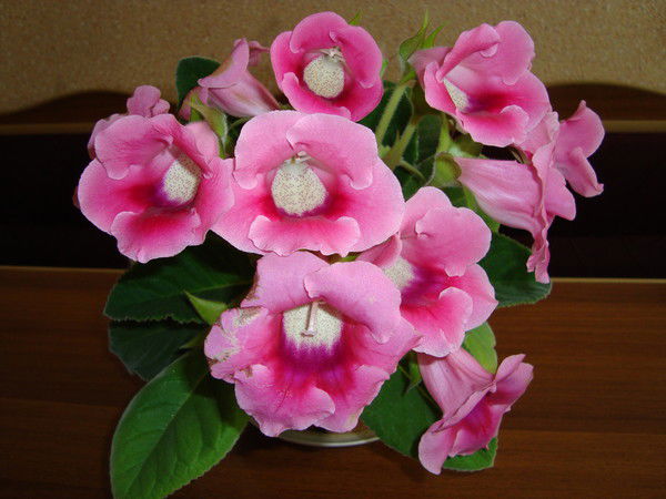 Марина Роор