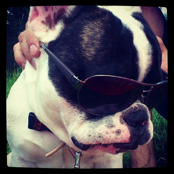 Анастасия Абдрахимова