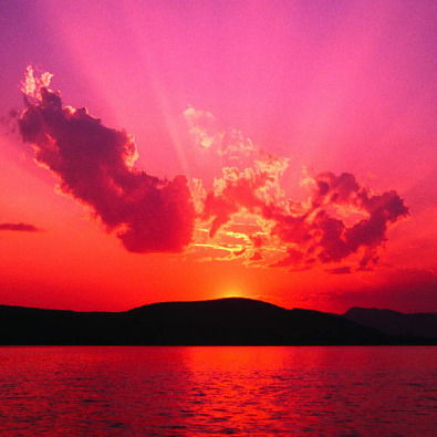 Елена Ямскова