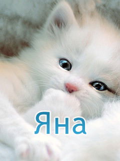 Милая Зайка