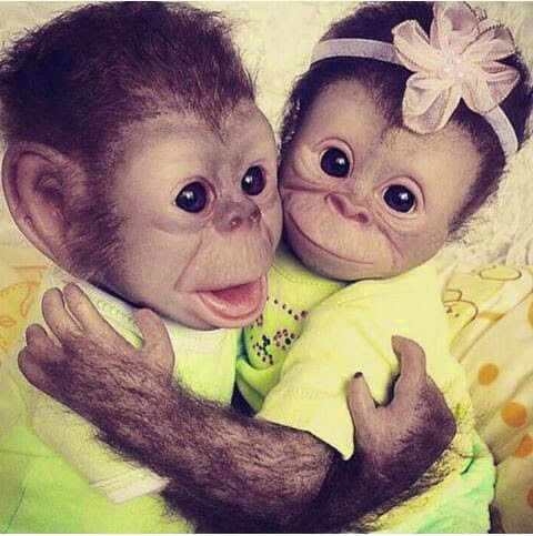 Жан••• •••нур