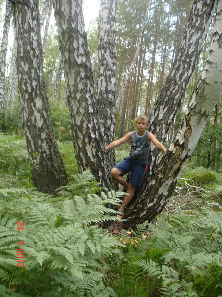 Костя Гницевич