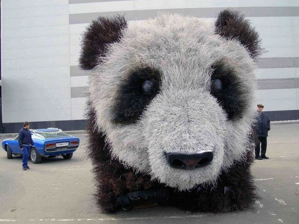 Михаил Журавлев