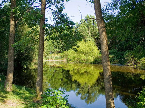 Ник Ведунов