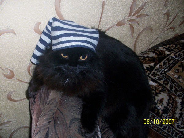 Марк Марченко