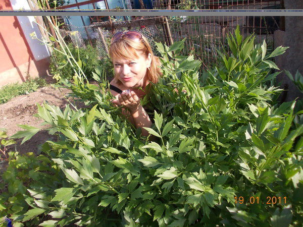 Лена Скрипченко