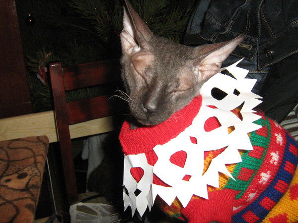 Галина Серова