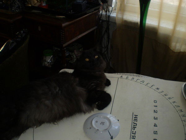 Яна Прохорова