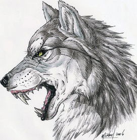 Роман Воробьёв