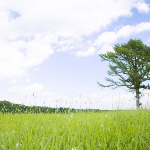 Гульден Сержанова