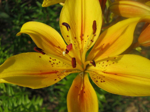 Татьяна Ветошкина