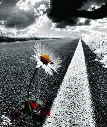 Серега Железовский