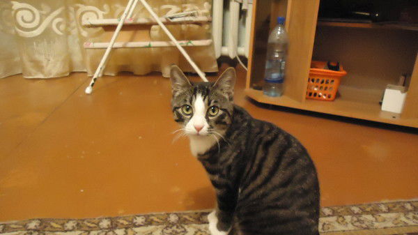 Слава Игнатов