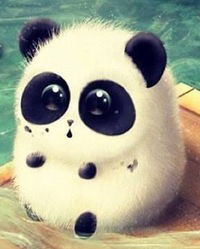 Света Прокудина