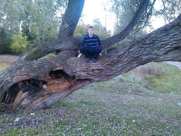 Андрей Тарасенко