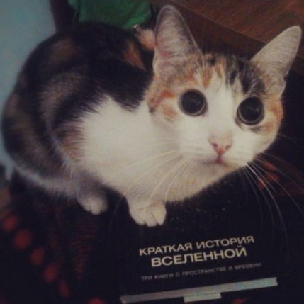 Osnaz1939 Рулит