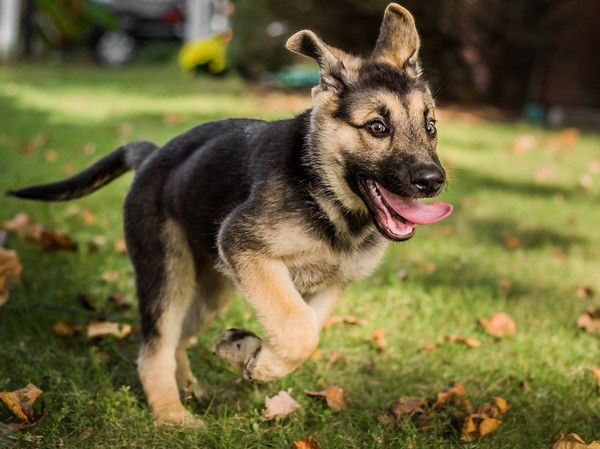 Серега Четверкин