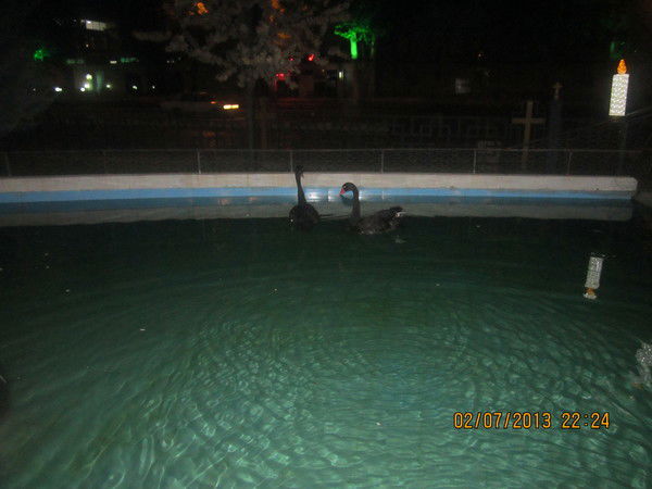 Айгюль Карабаева