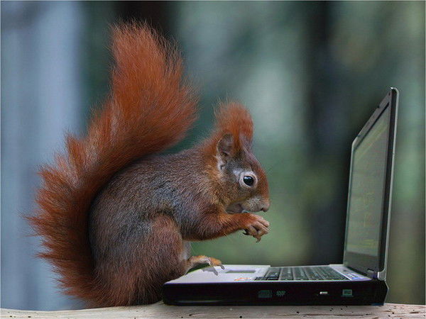 Изабелла Ботова