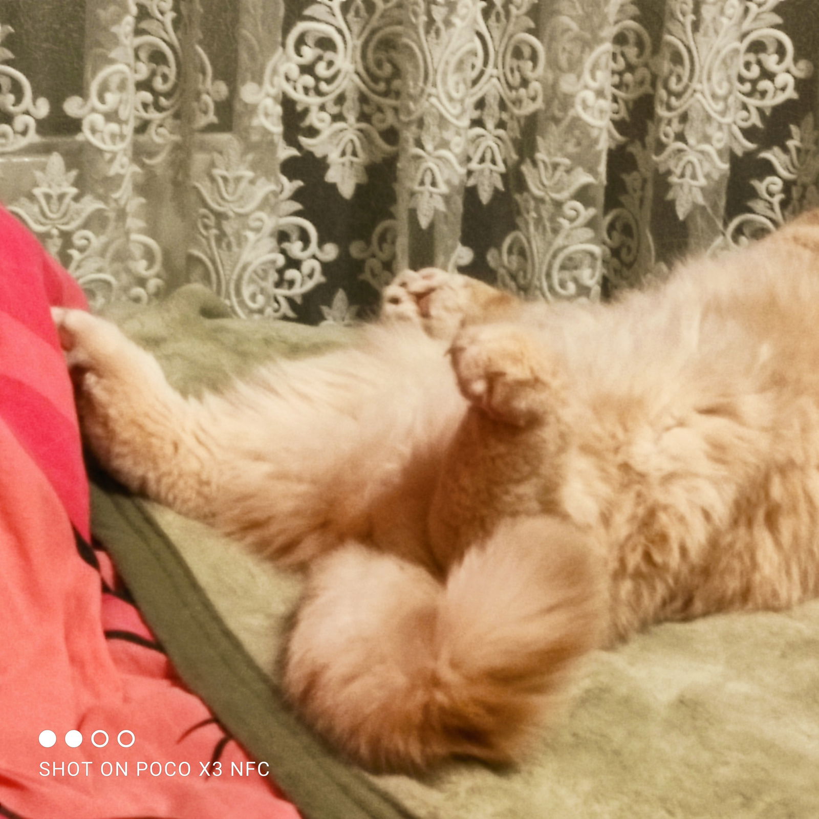 Валерия Лаврова