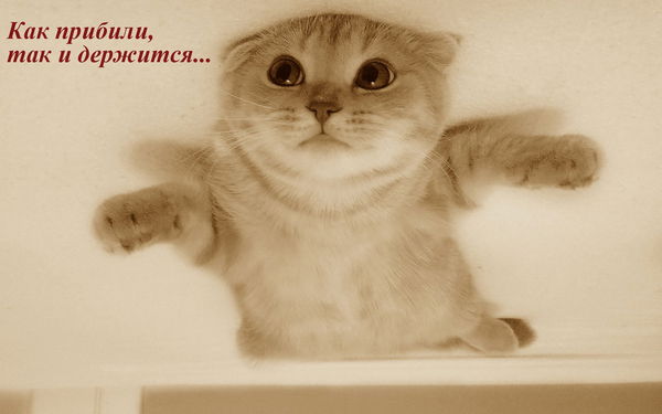 Рамиль Саитов