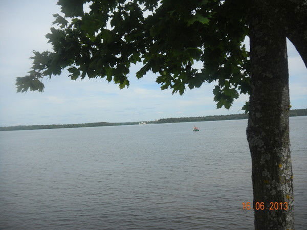 Наталья Беленкова