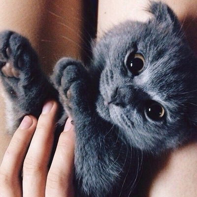 Ксюша Андреева