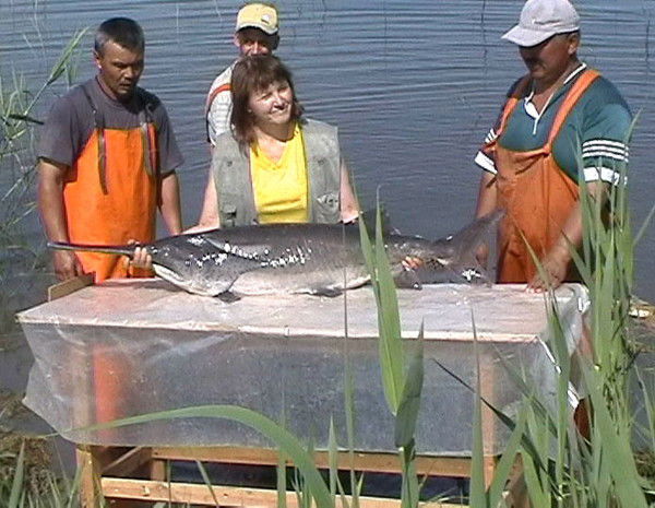 Людмила Медная